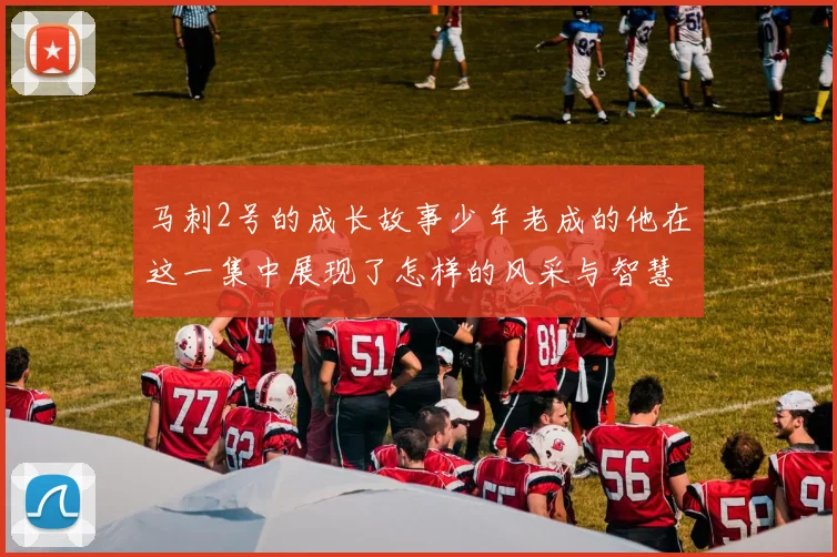 马刺2号的成长故事少年老成的他在这一集中展现了怎样的风采与智慧