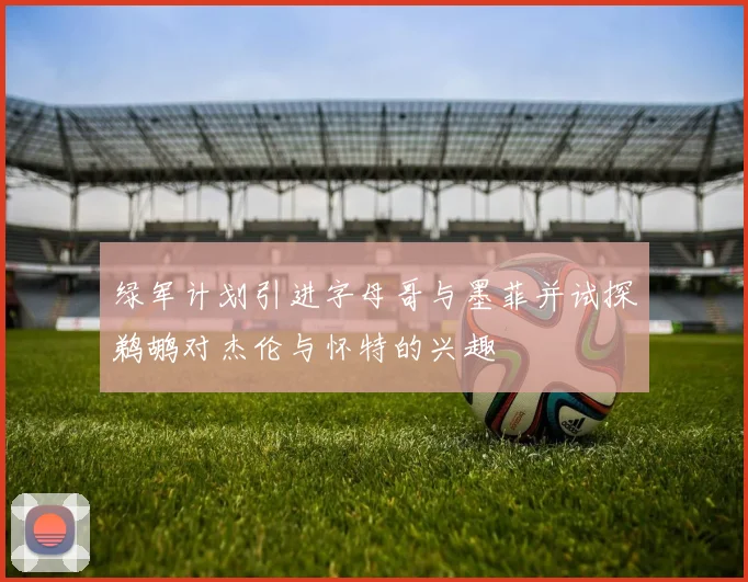 绿军计划引进字母哥与墨菲并试探鹈鹕对杰伦与怀特的兴趣