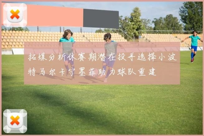 拓媒分析休赛期潜在投手选择小波特马尔卡宁墨菲助力球队重建