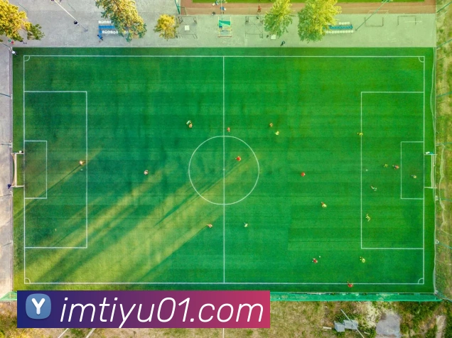 im体育APP 封面图